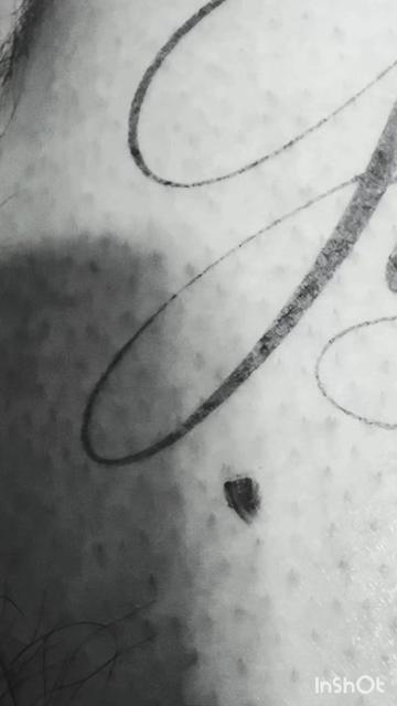 @inkbysalas