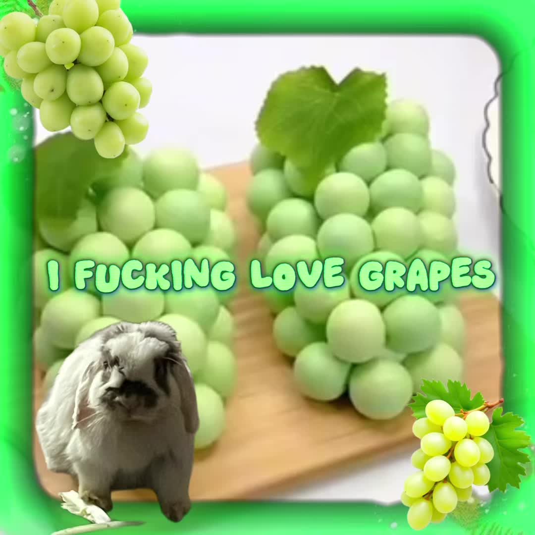 @Bunny