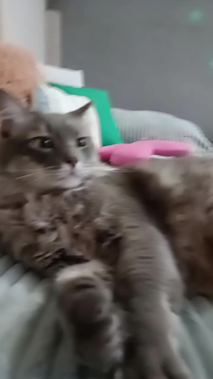 @Natalia Facenta