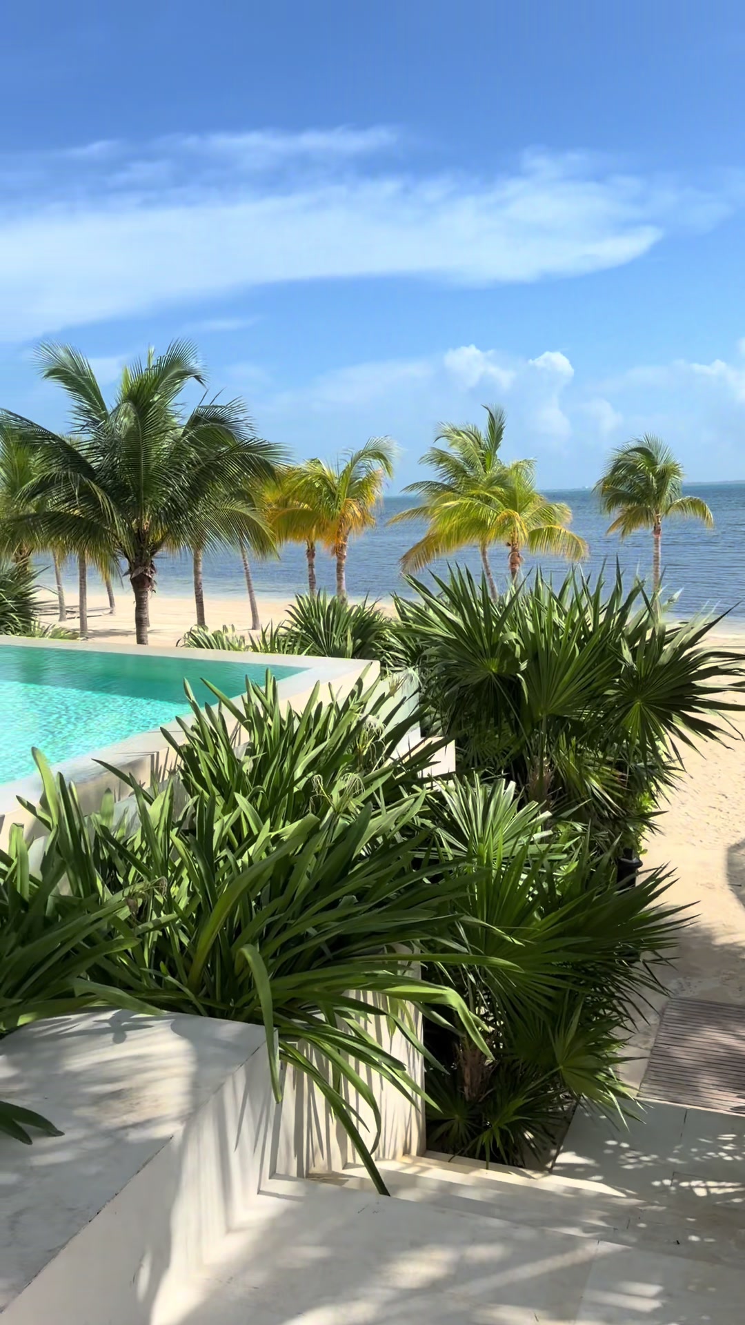 @MAYELIN MATTIG REALTOR® MIAMI