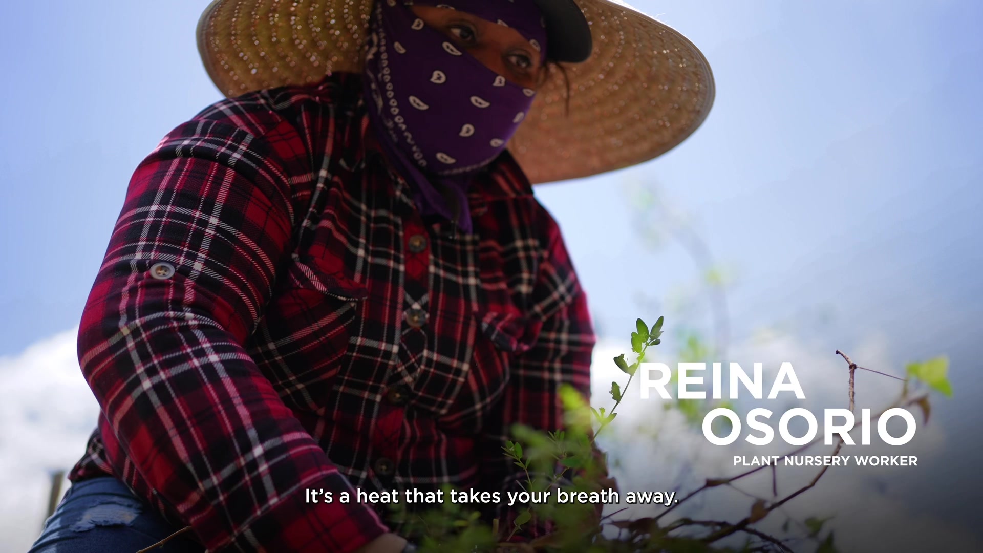@one_louisiana