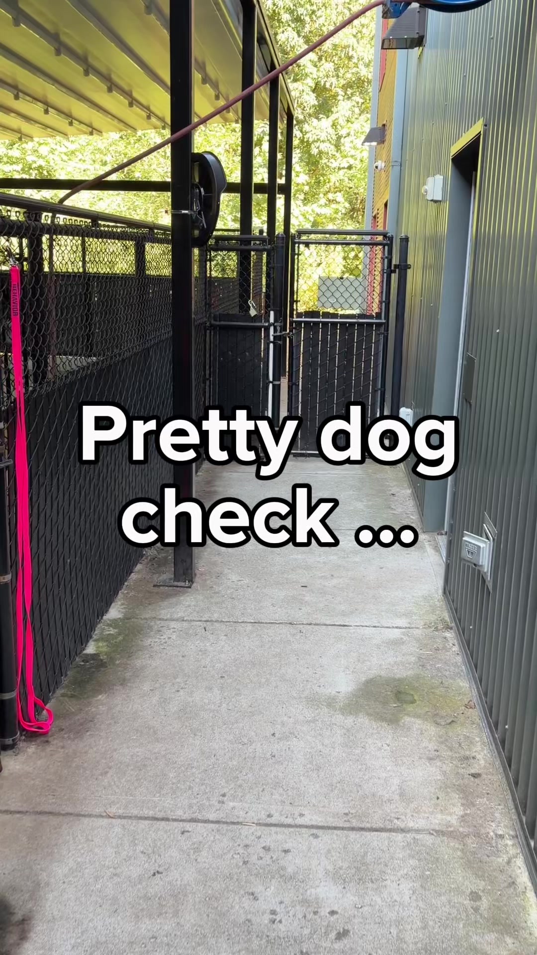 @Seattle Humane