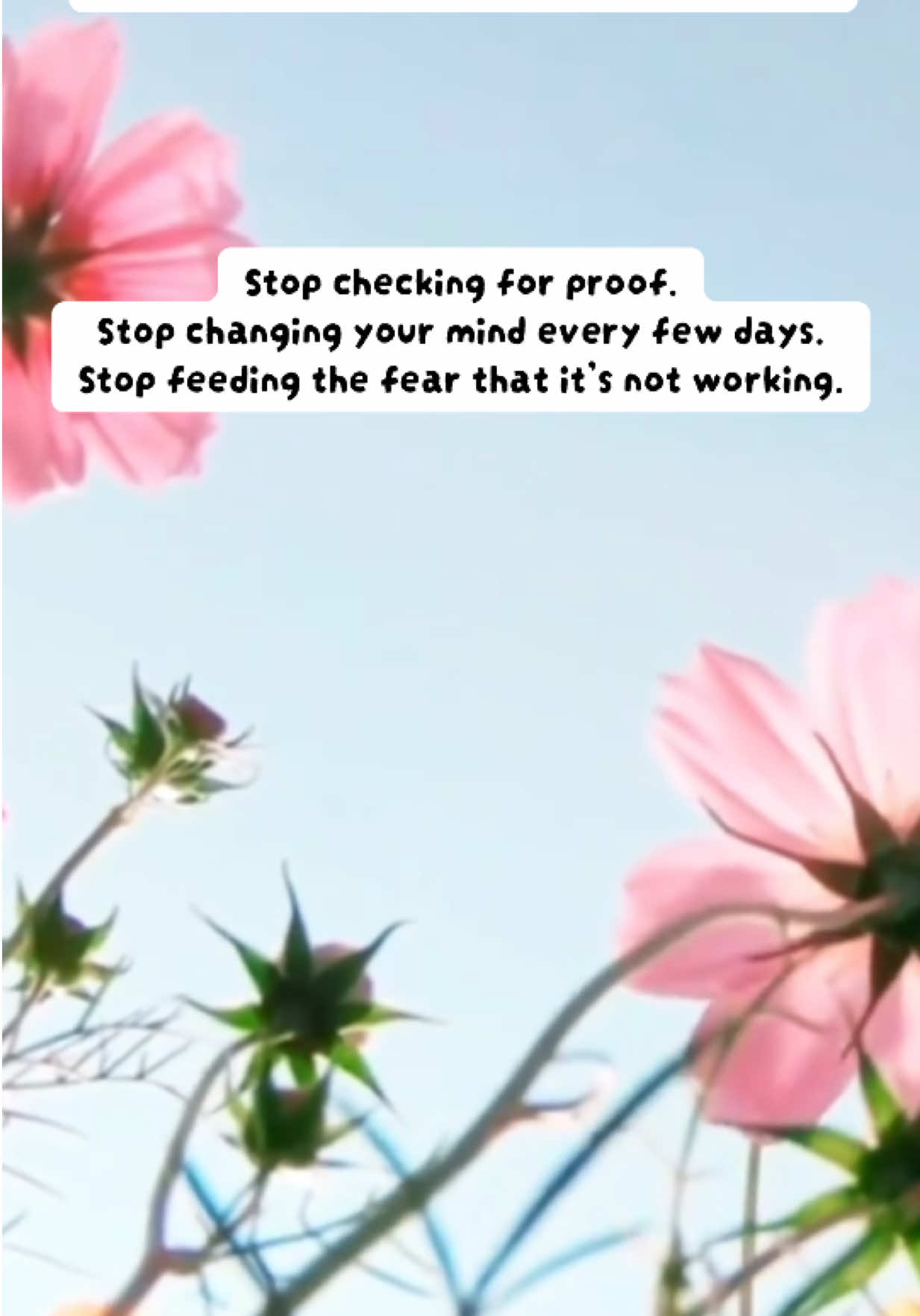 @AbundanceFlow*Manifestation