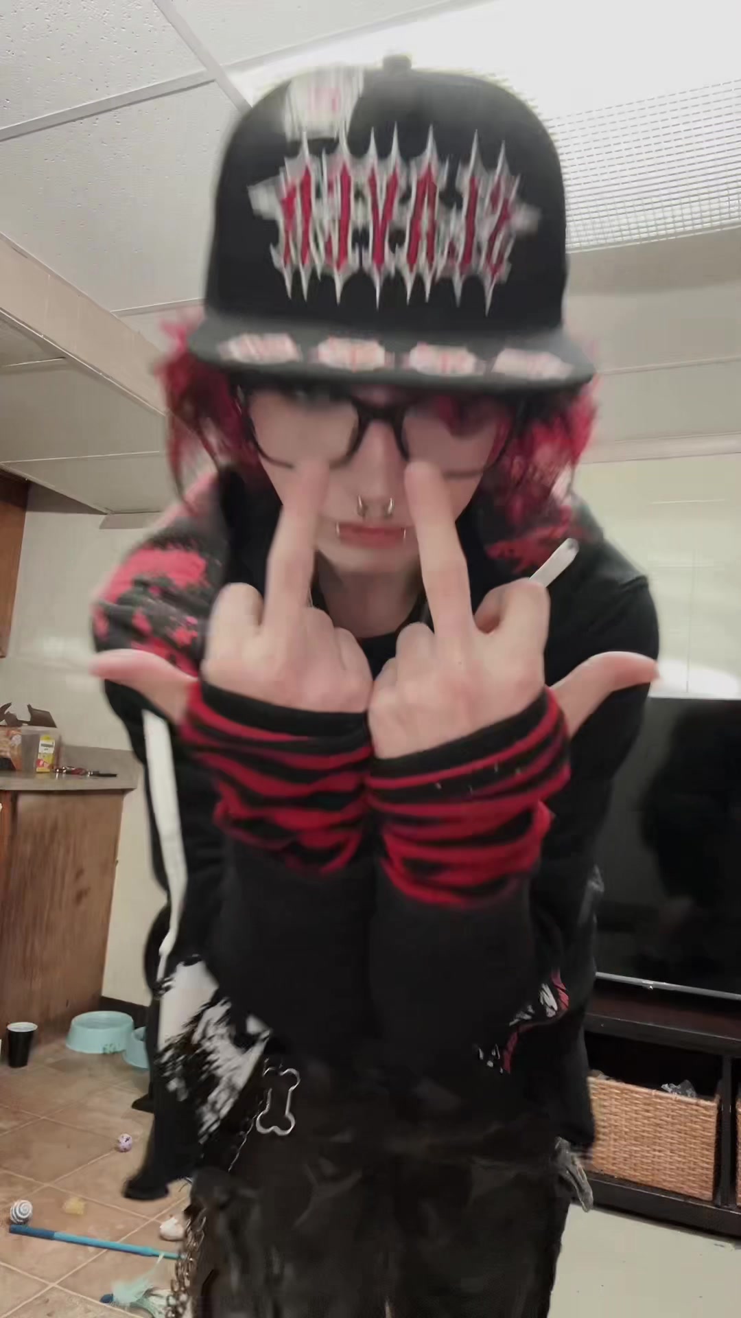@dogferatu