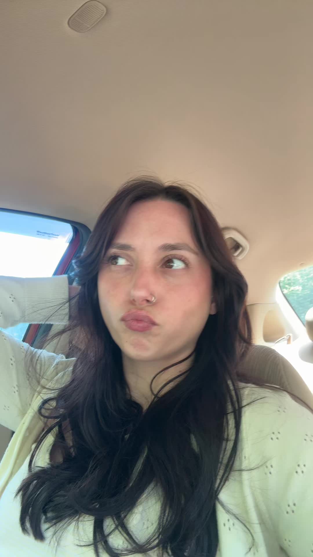 @briconatorfries