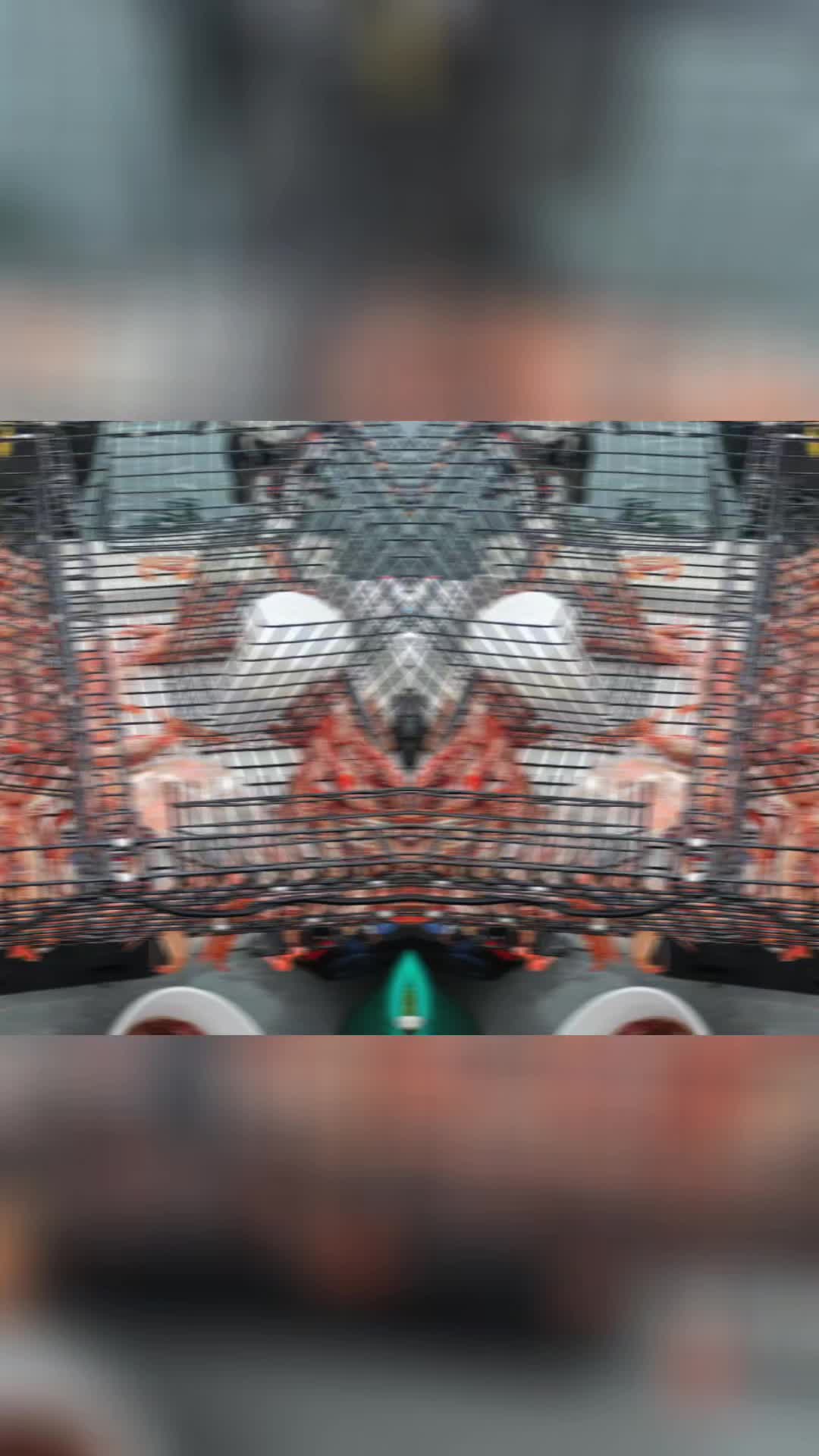 @AmpuTrician