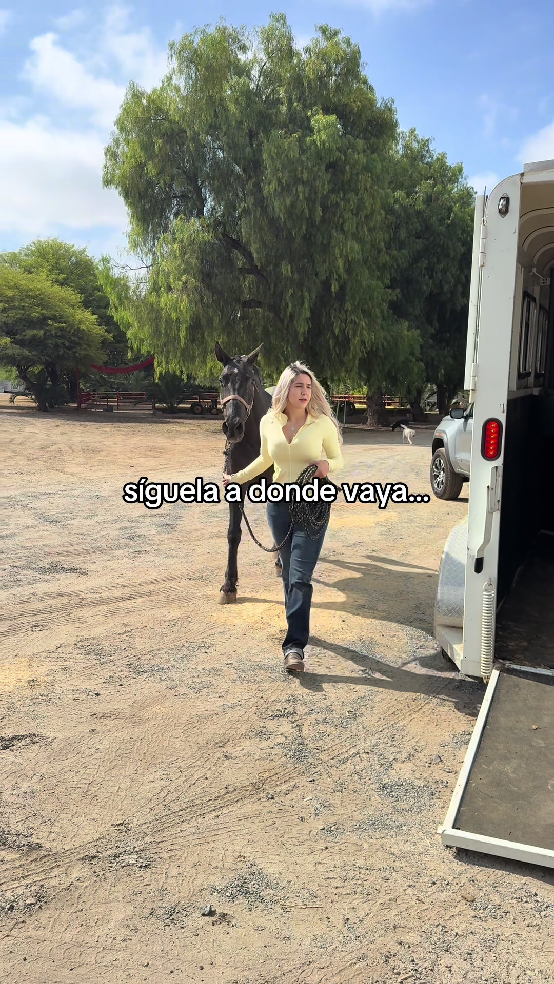 @PMGA
