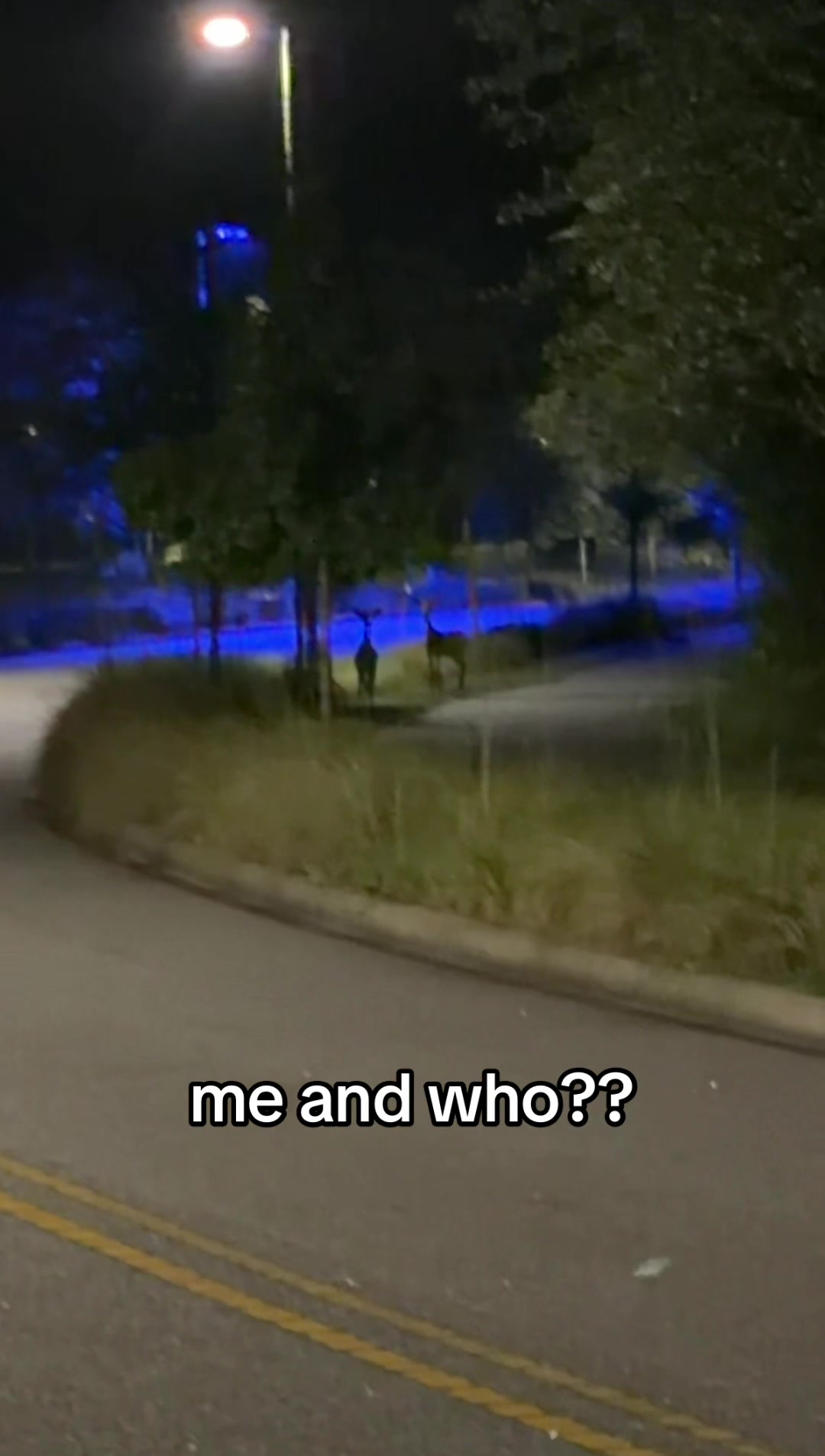 @Marie