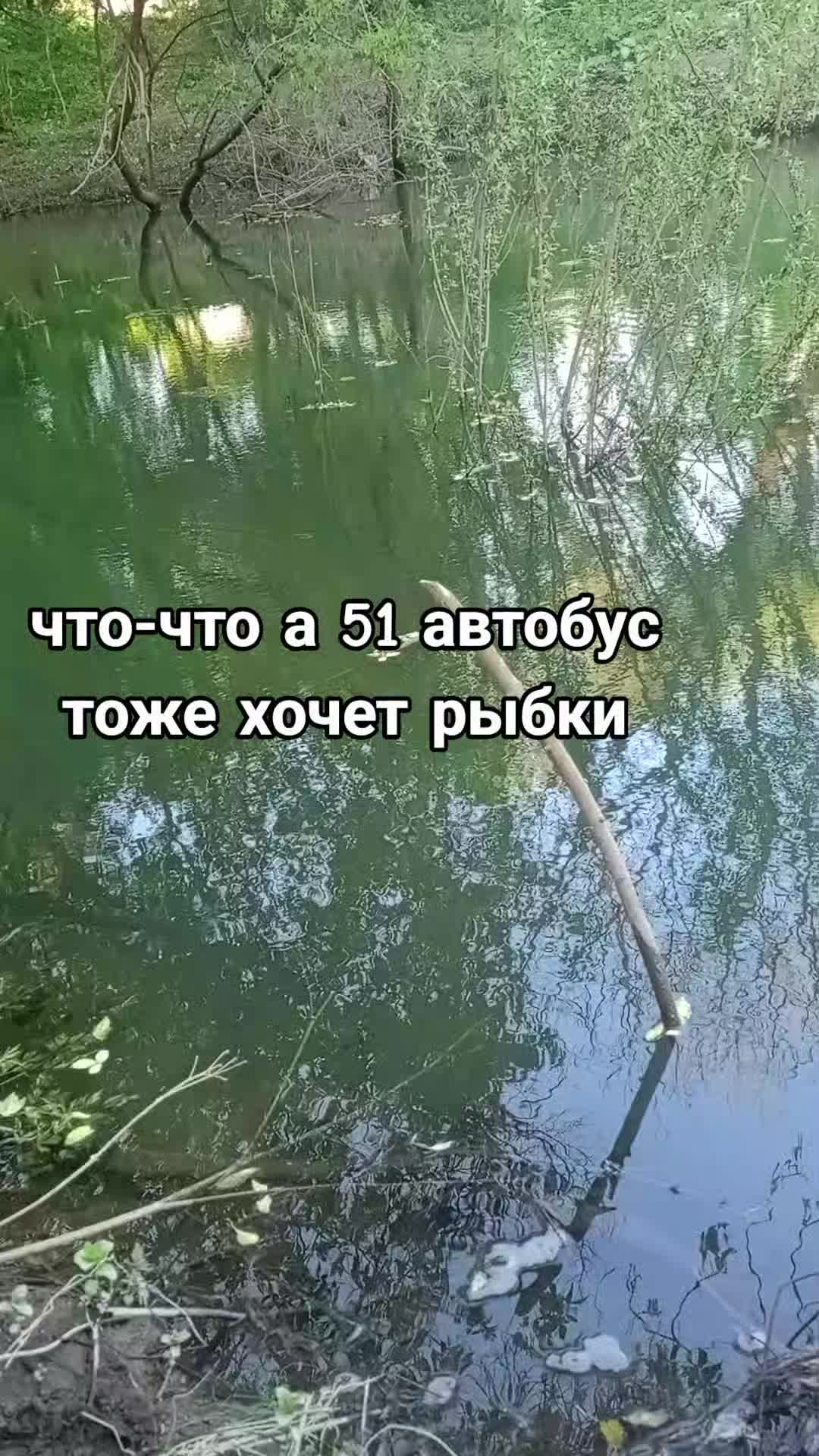 @51 ЛУЧШИЙ АВТОБУС