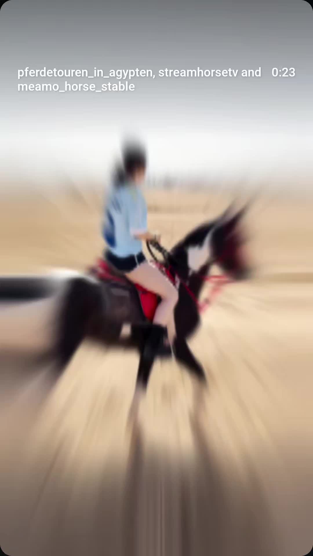 @streamhorse