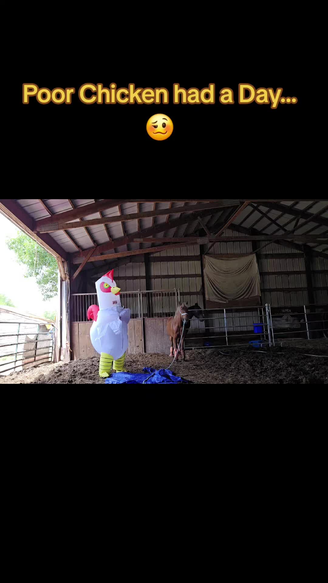 @Small Town Farm LLC