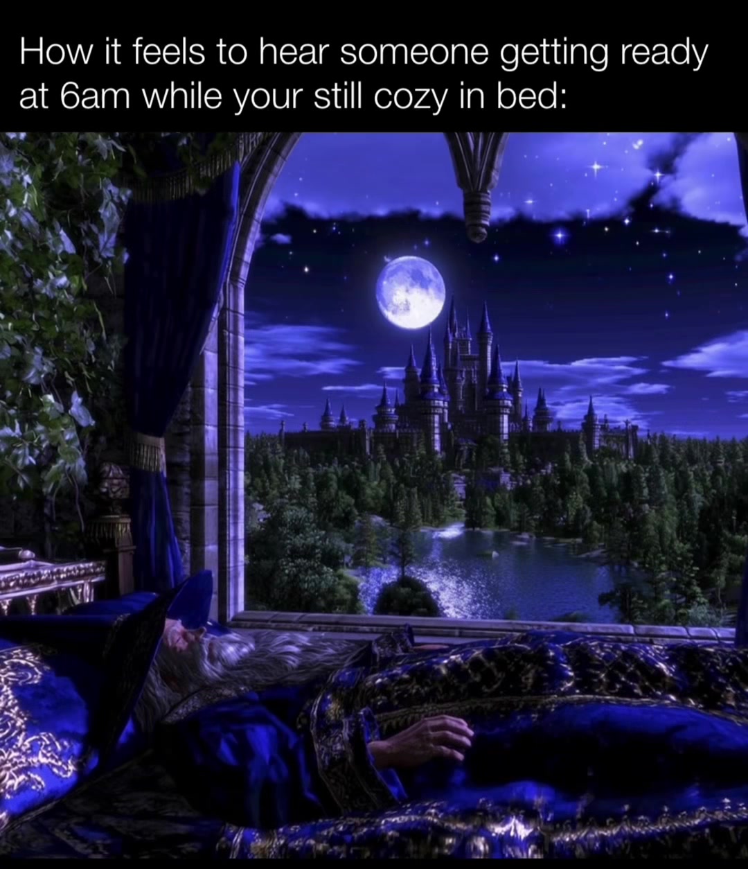 @lifecore______