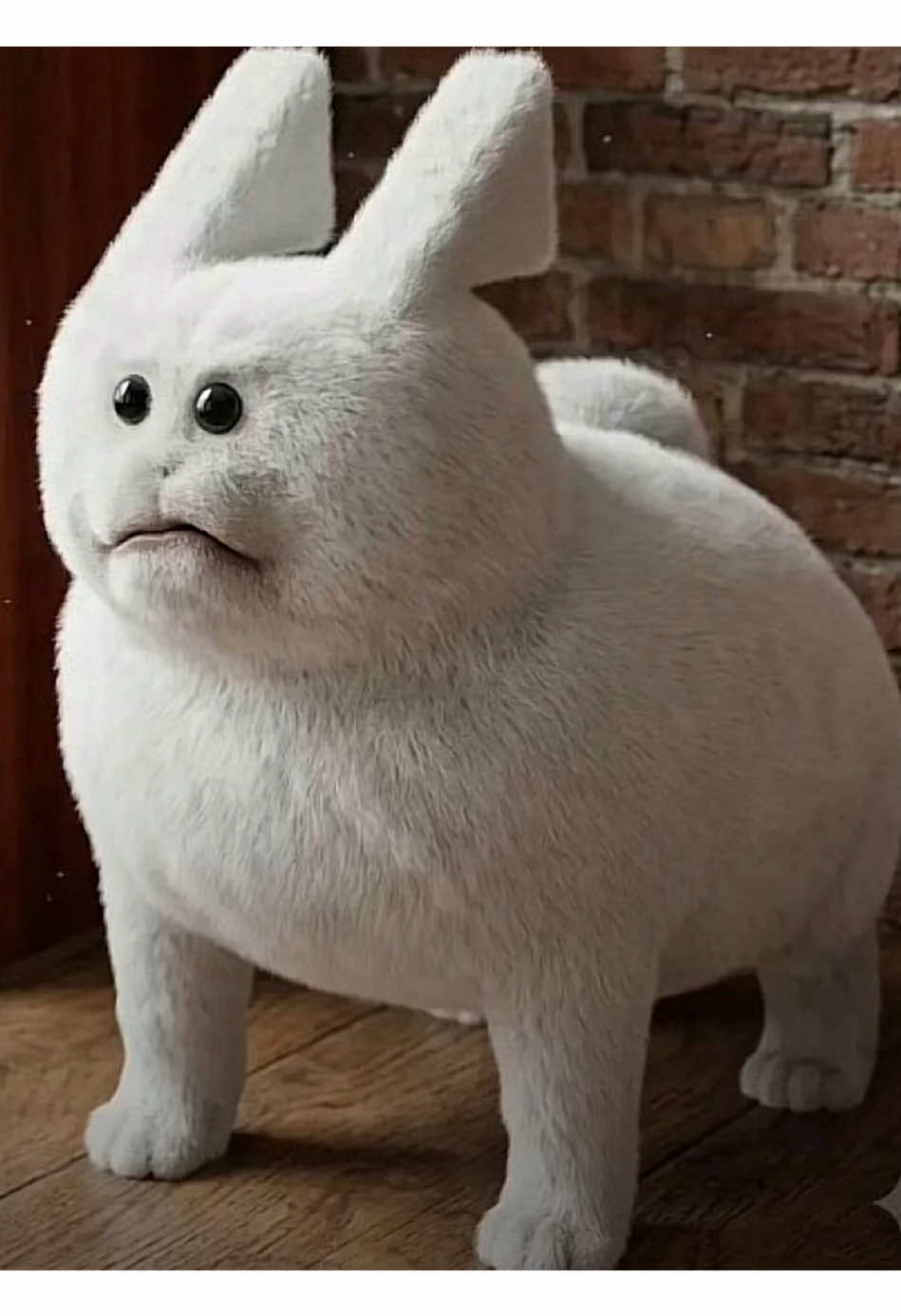 @𝒸𝑒𝓃𝓉𝑜𝓇𝓊𝒾˚˖𓍢ִ໋❀