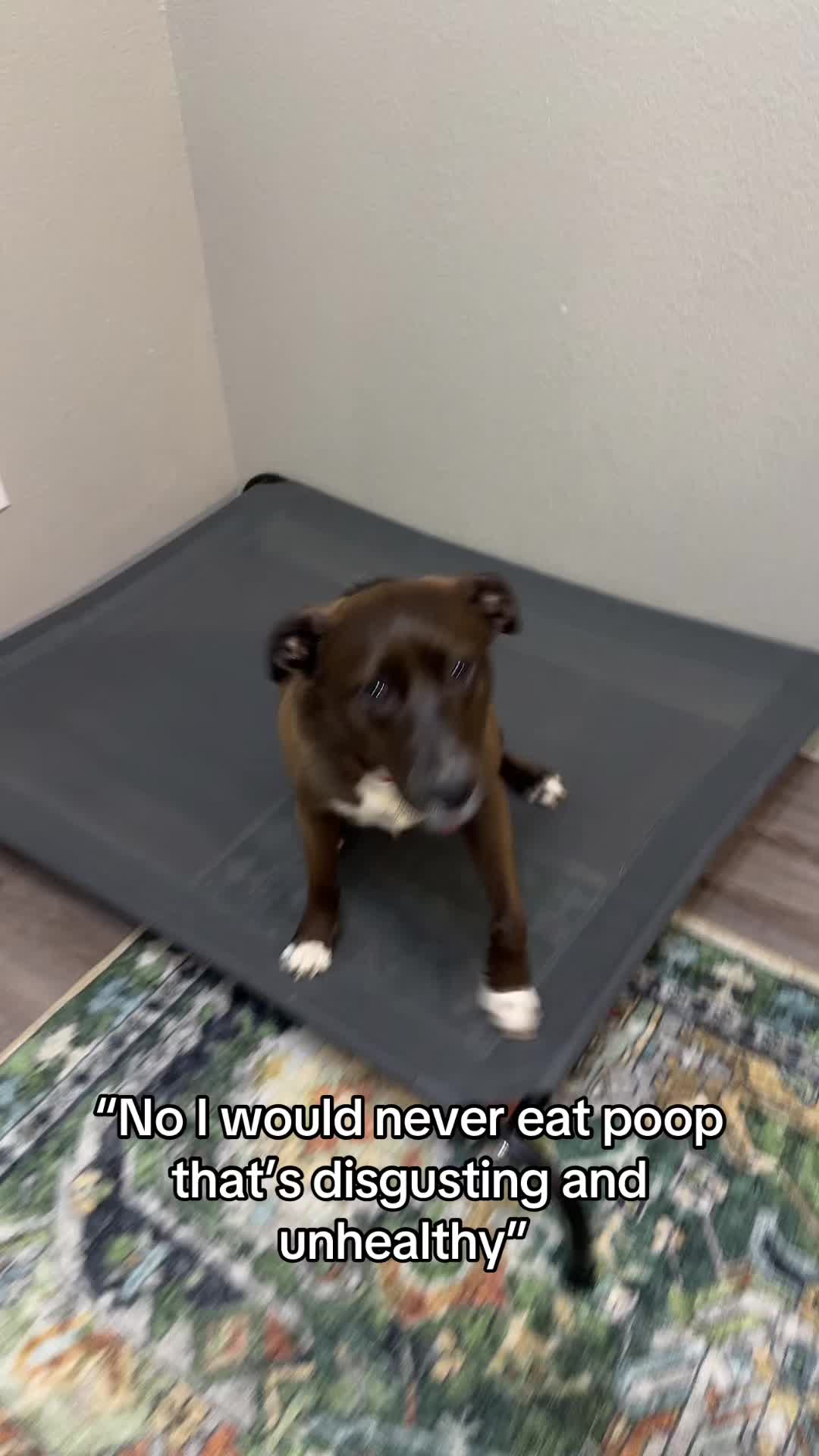 @Mikah 🐾 🐶 💓