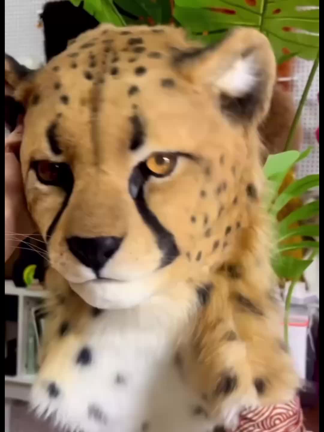 @RealFur
