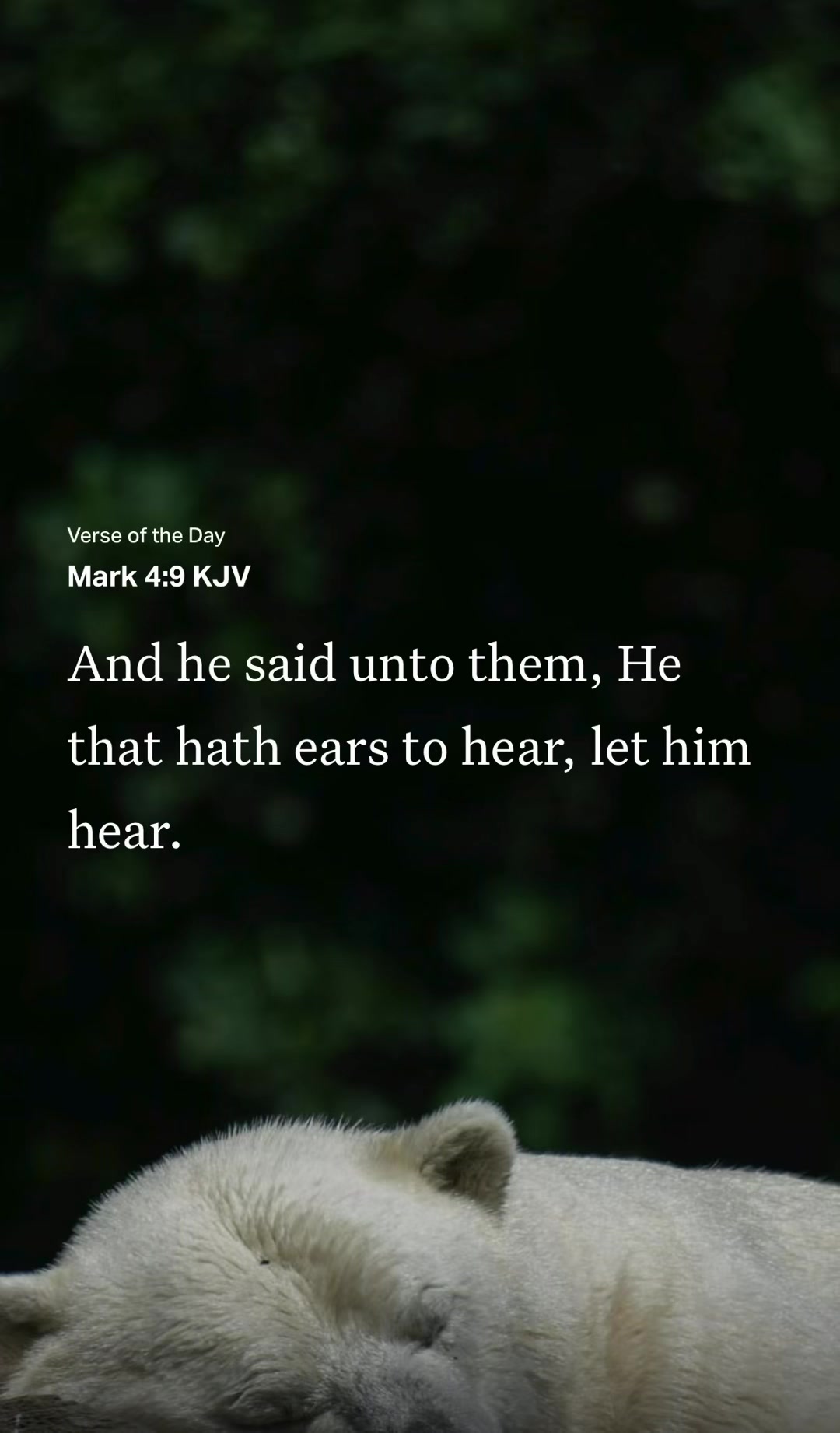 @VoiceOfScripture
