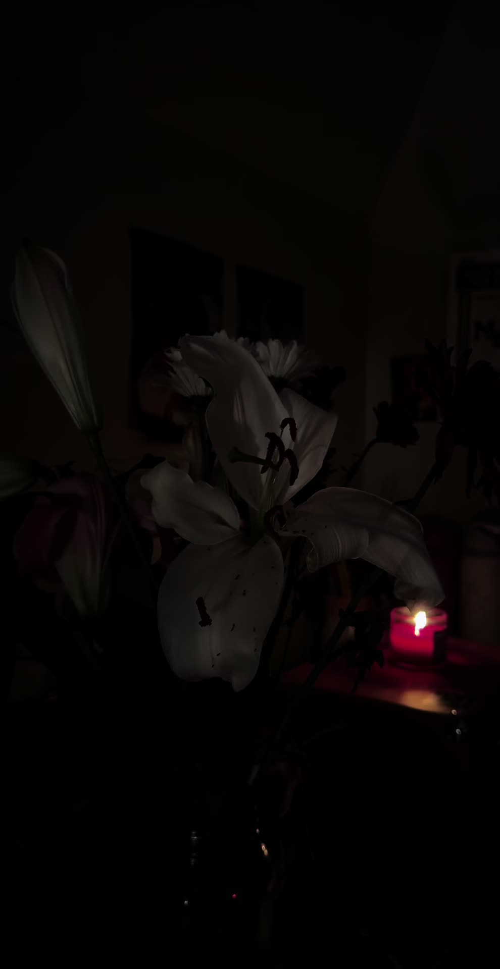 @🌺🪬😚