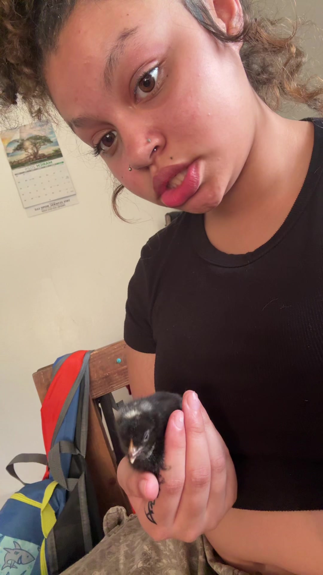 @socialexperiment0045