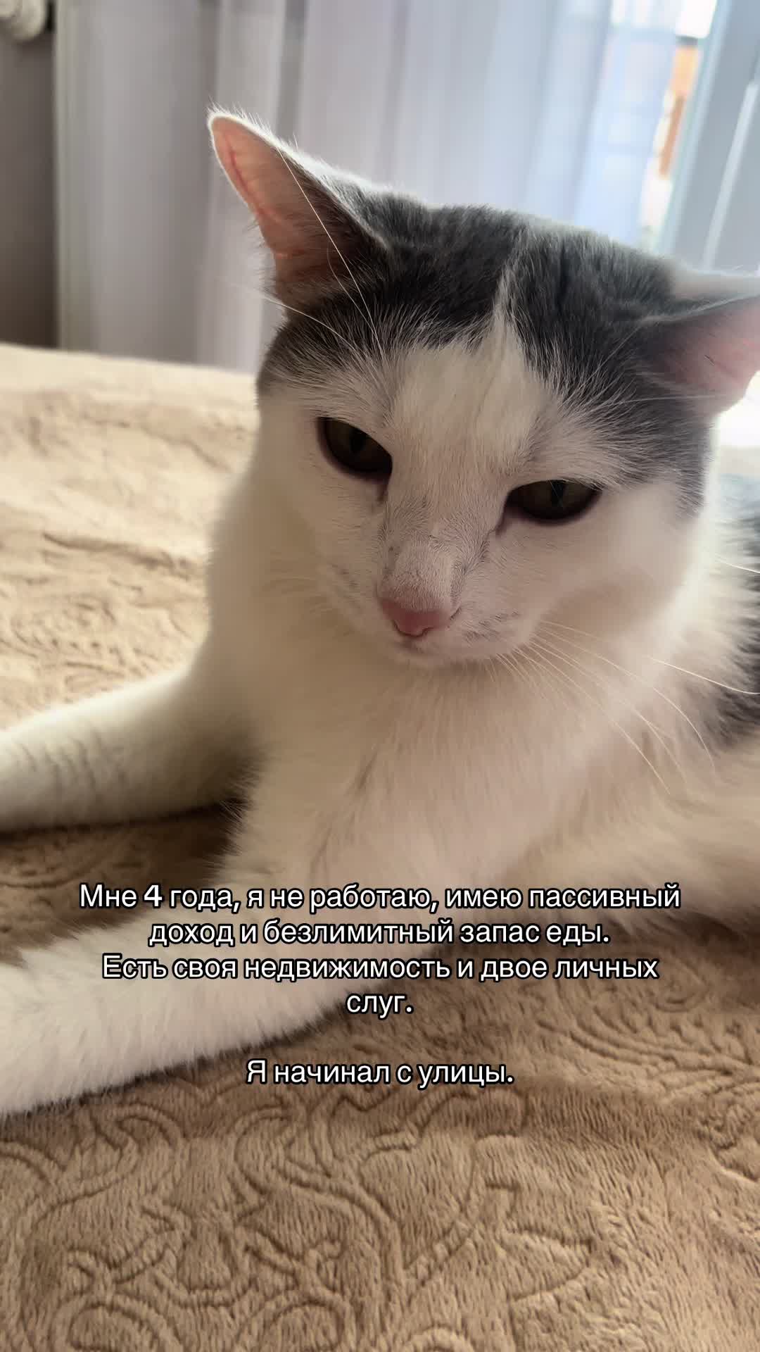 @𝓽𝓪𝓷𝓾𝓼𝓱𝓪