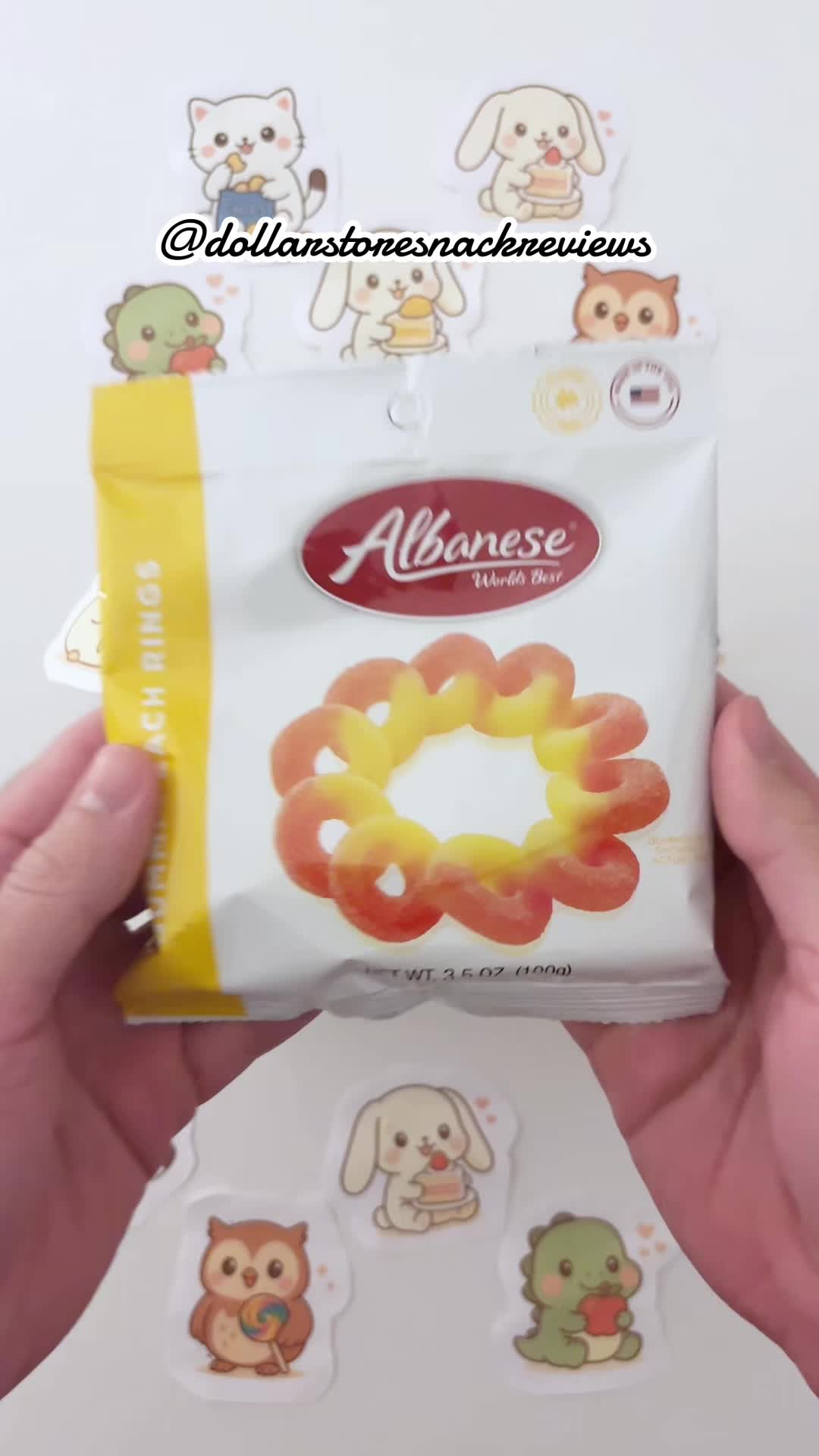 @dollarstoresnackreviews