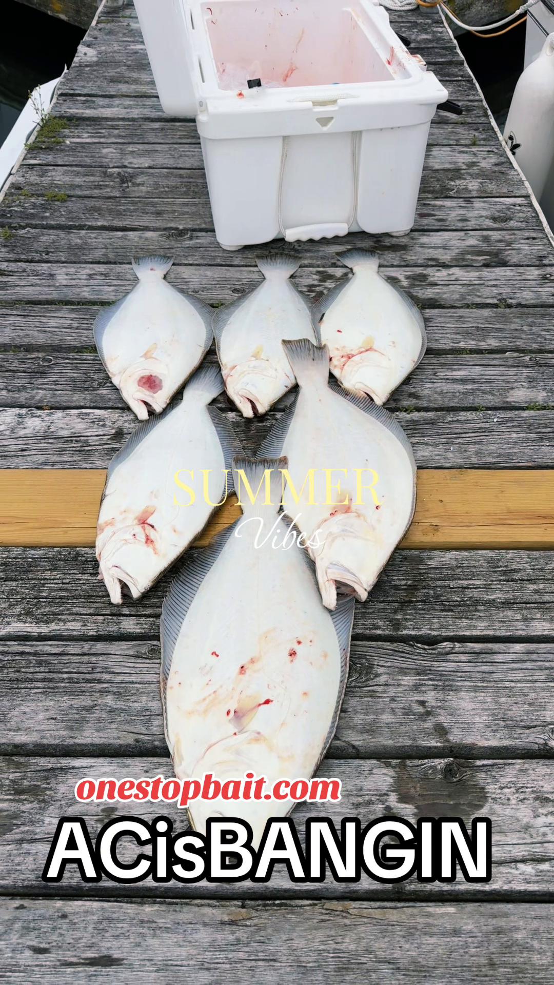 @One stop bait & tackle