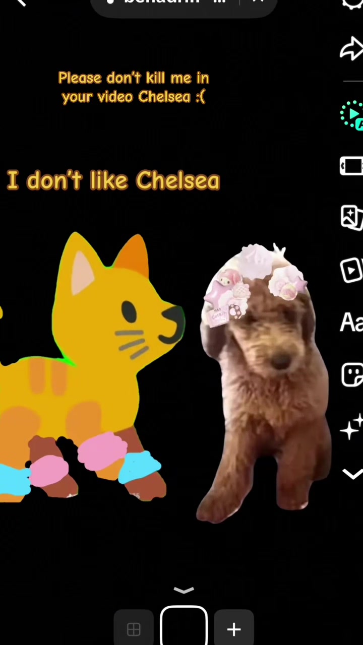 @Cici cool cat