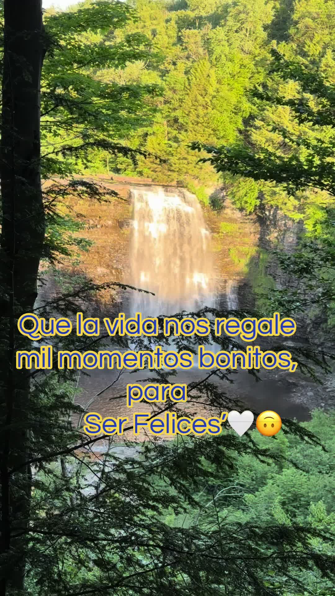@Tiitaa Rios