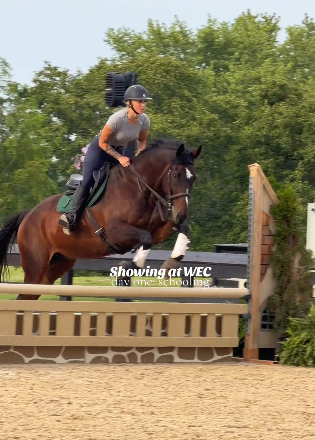 @Lunar Hill Equestrian