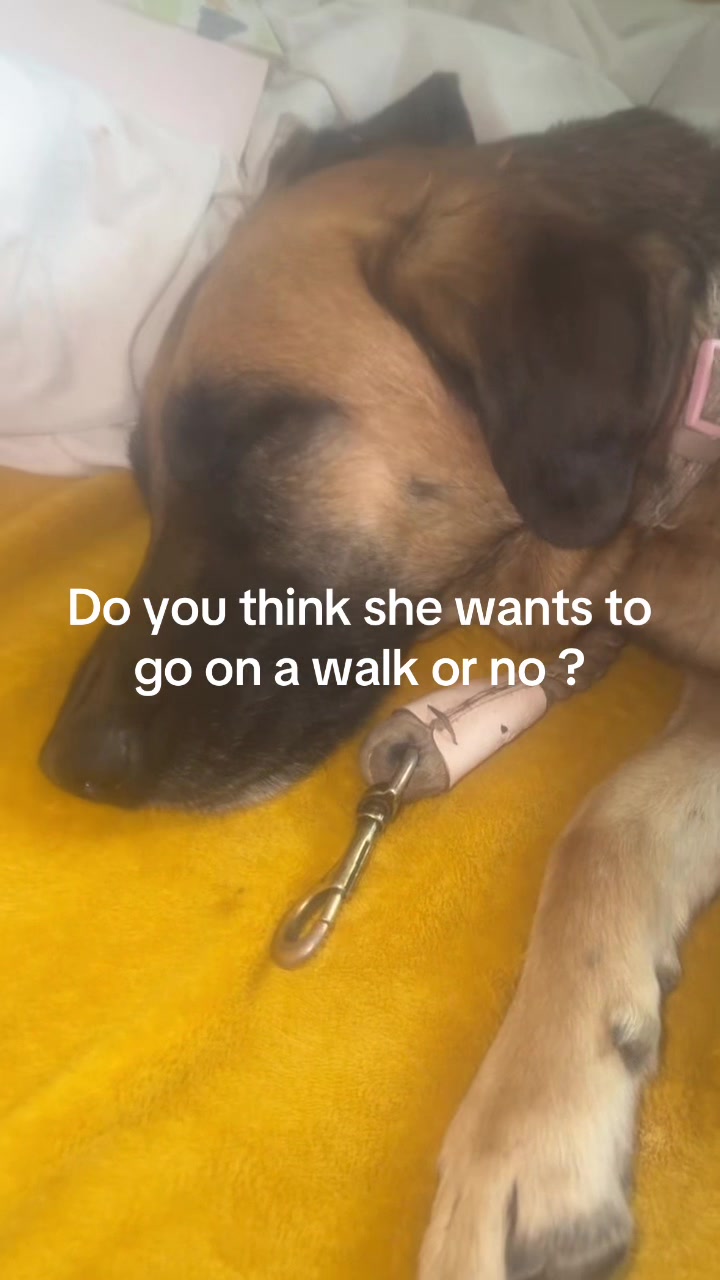 @Lavenderhazzeyy