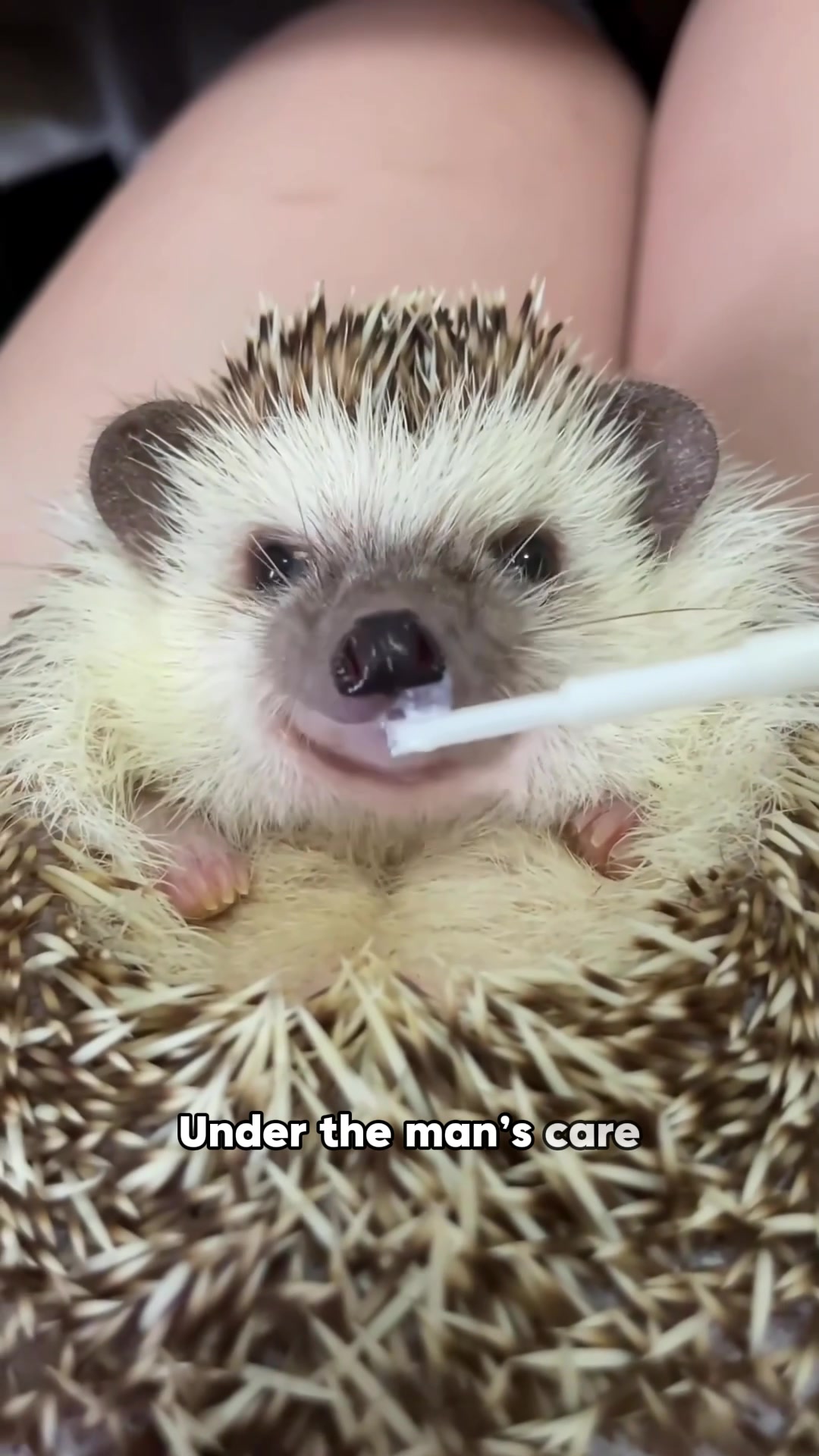 @ZoomieZoo