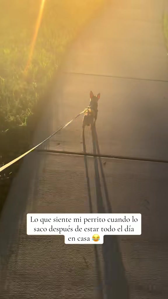 @Gloria Hernandez