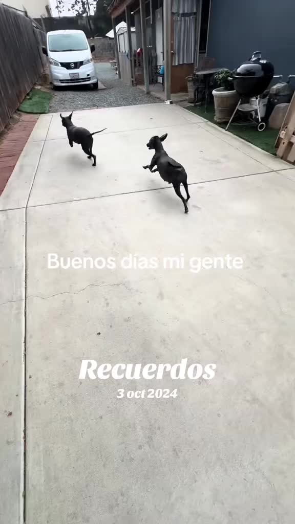 @Elcharitoopemex