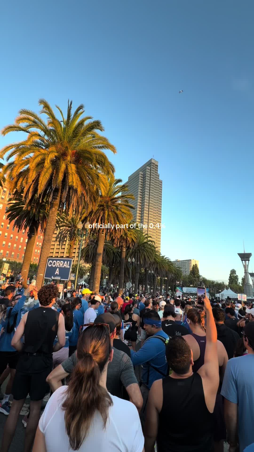 @Julia OG