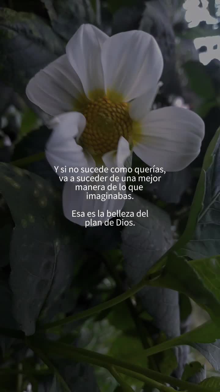 @FRamos💚