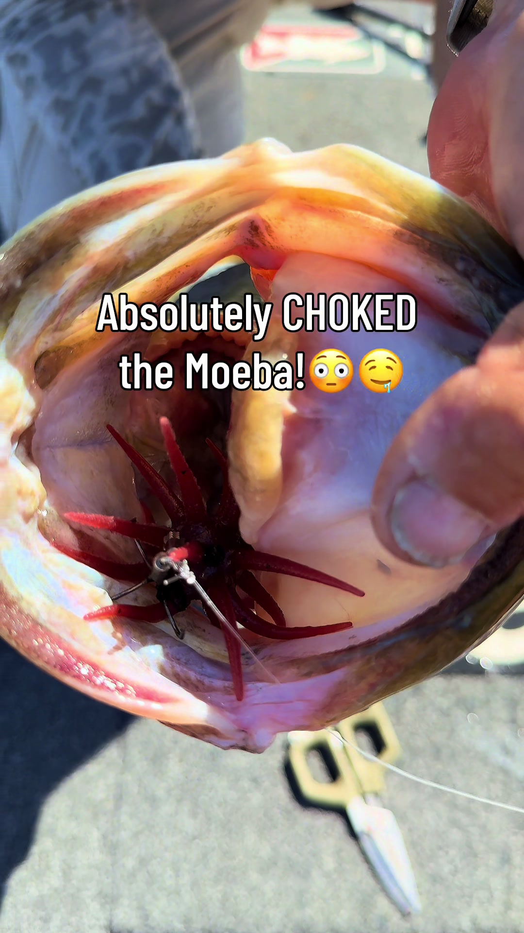 @Mike Iaconelli Fishing