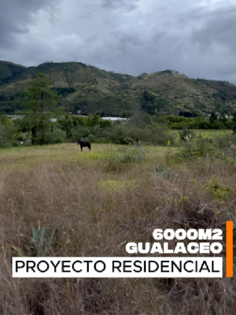 @Maurat Real Estate