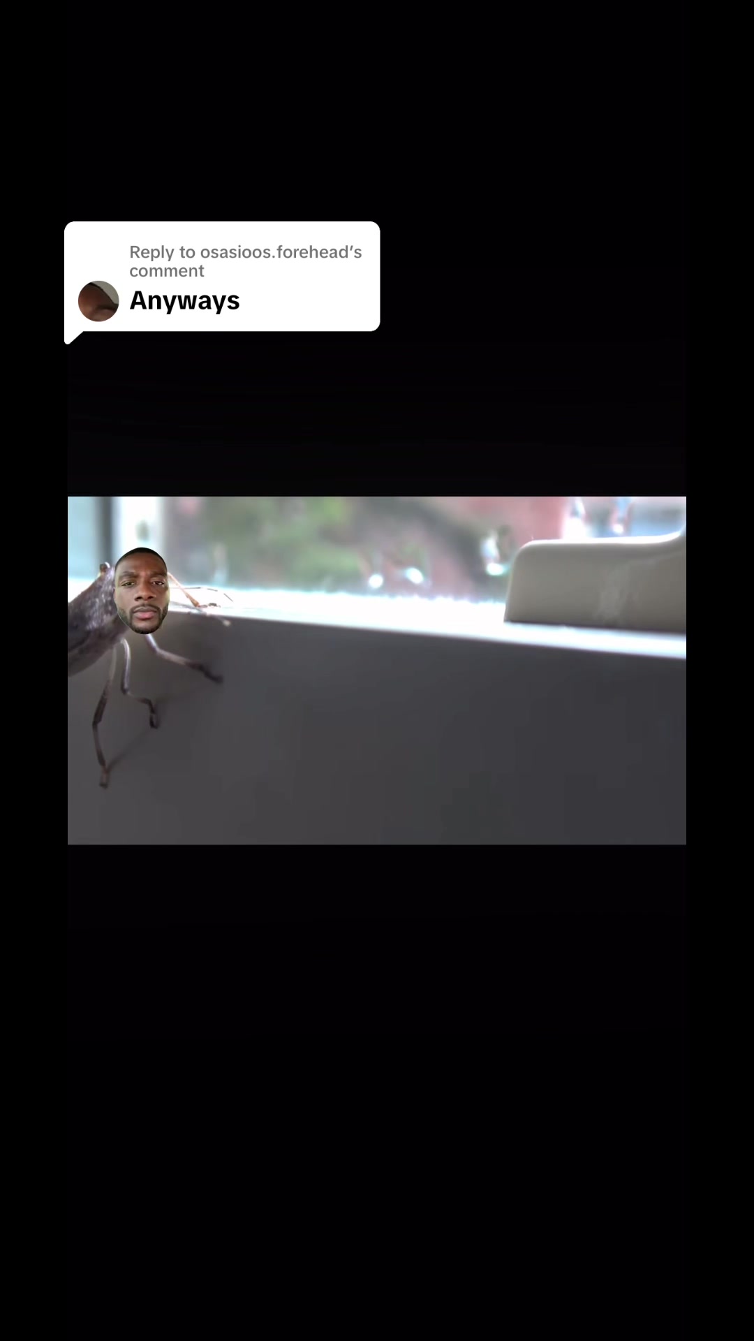 @osasioos.forehead