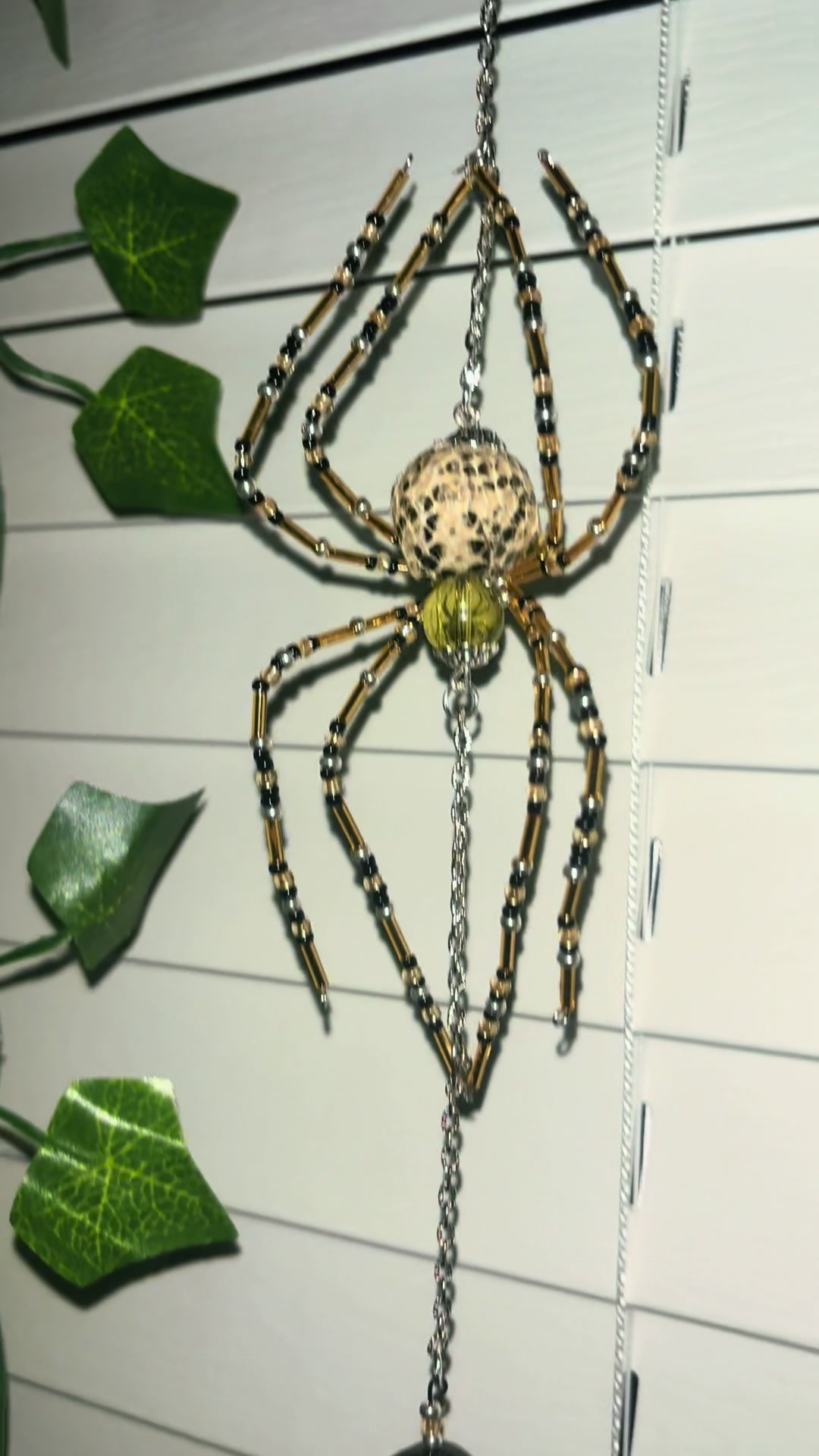 @spider_domain