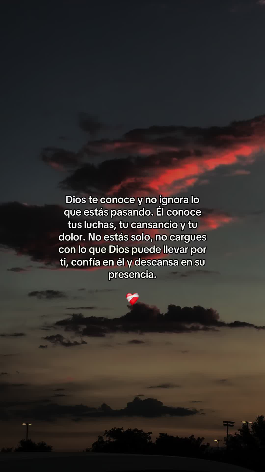 @thaniaSayegh💫frases