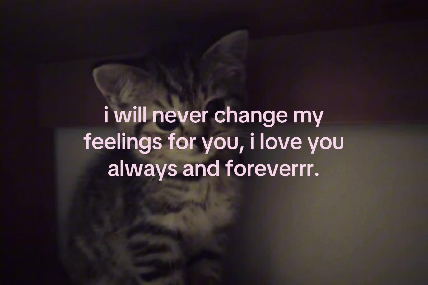 @sxalenz