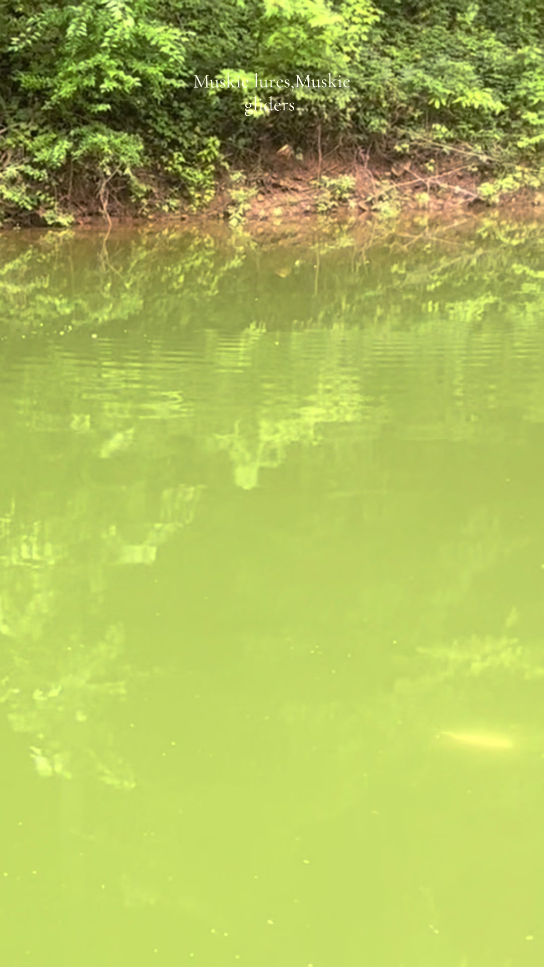 @JW Lures