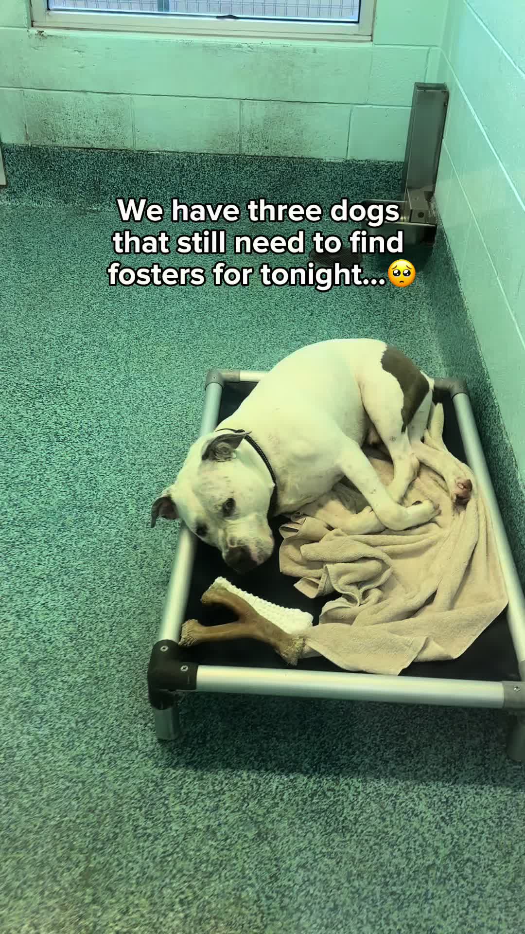 @pbhsnaples