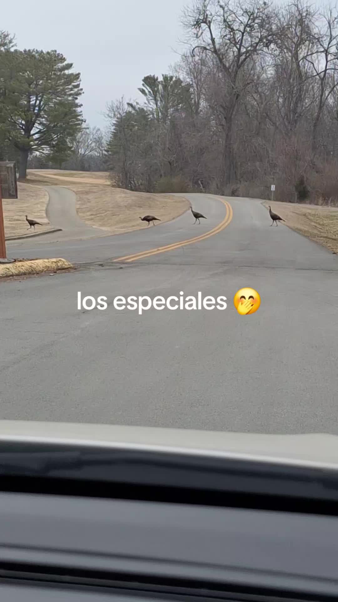 @Mirez 🇲🇽
