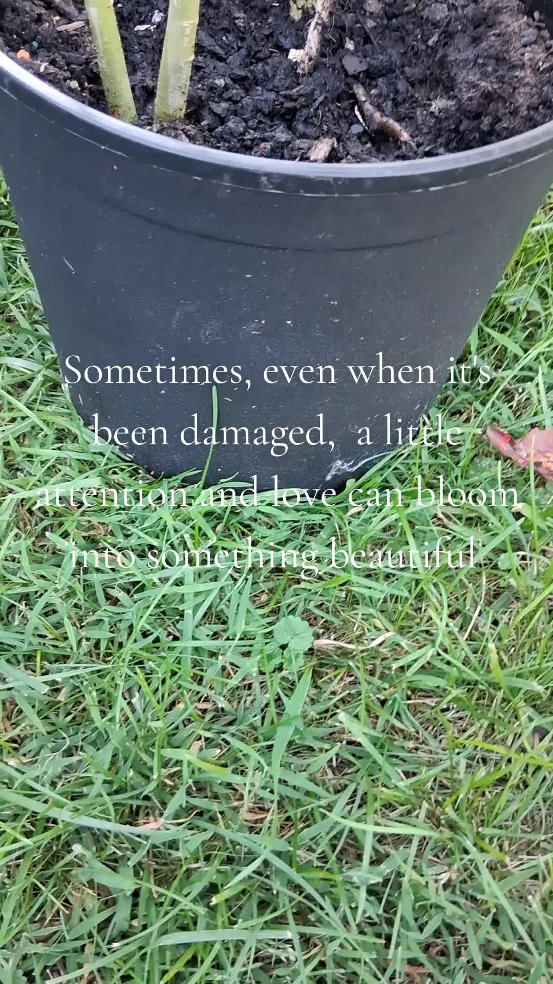 @JLEmpson