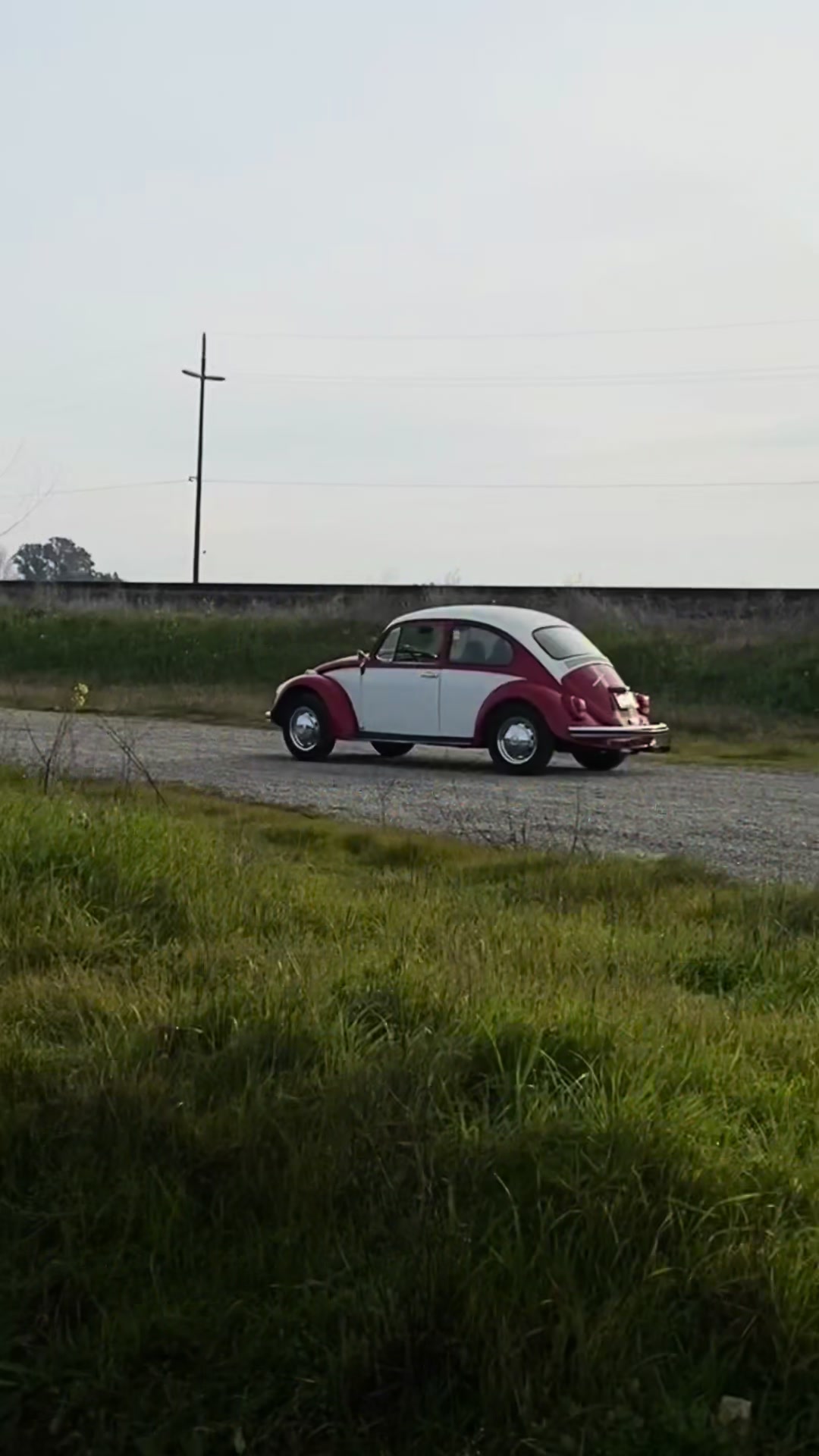 @🐞BUGNOUT 🚘