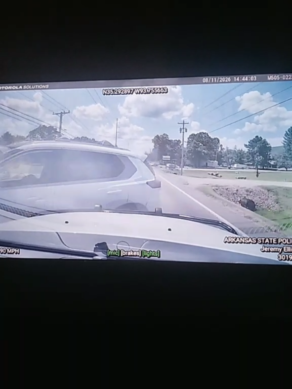 @Action PD Blue