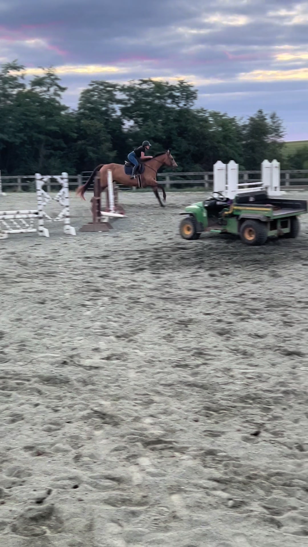 @Aftyn 🐎
