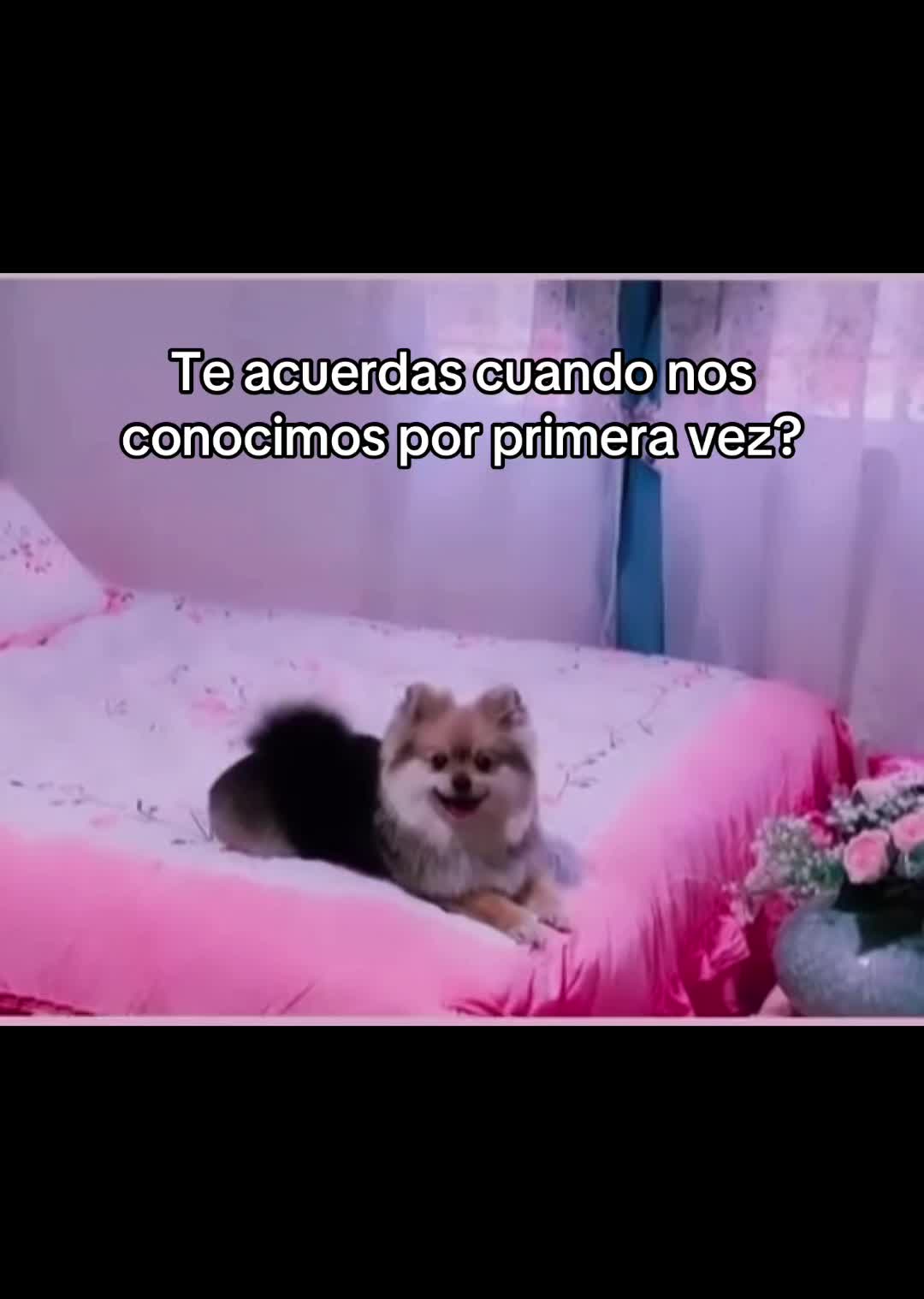 @Uzi Acero