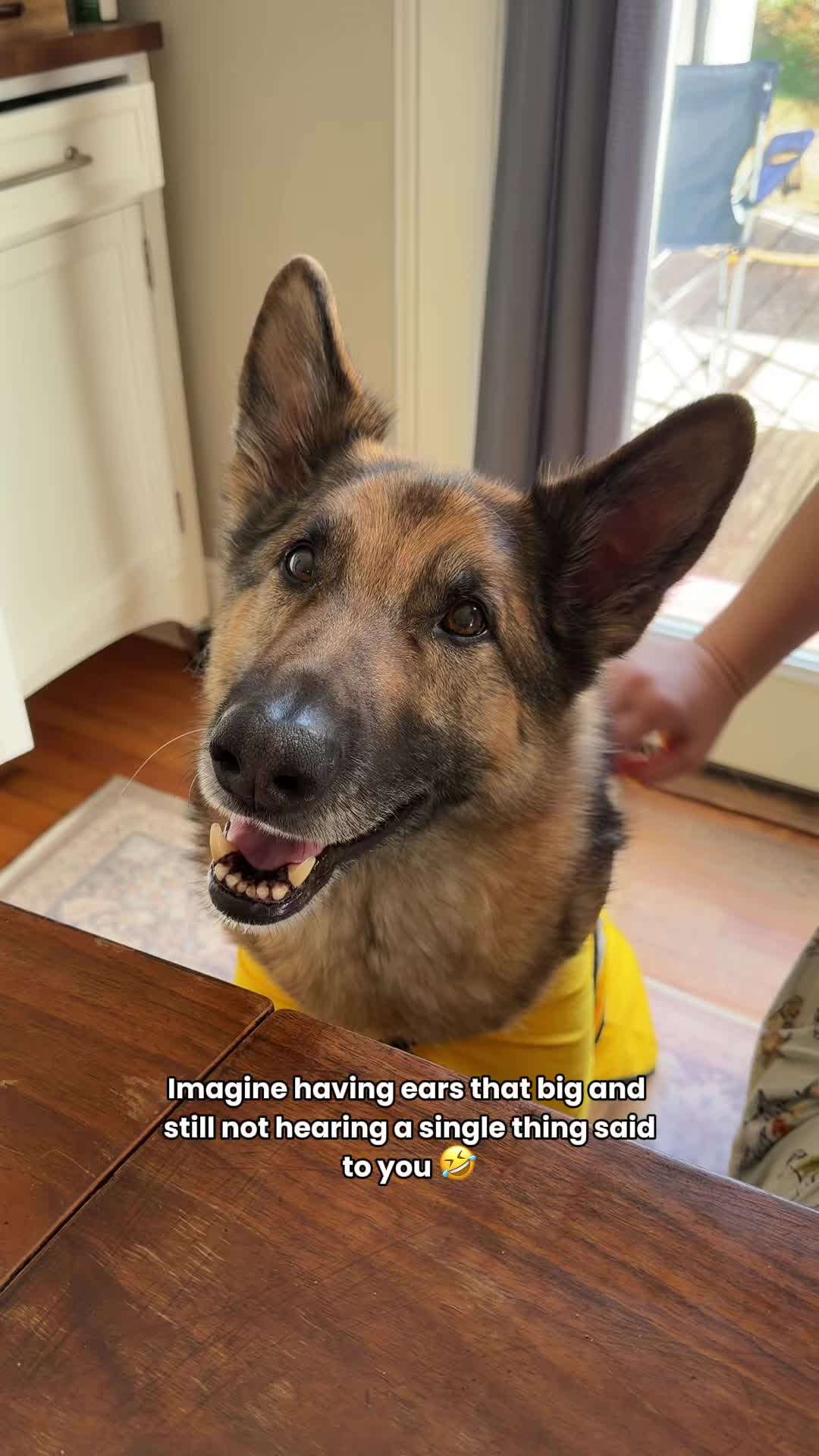 @Best Boy Benson