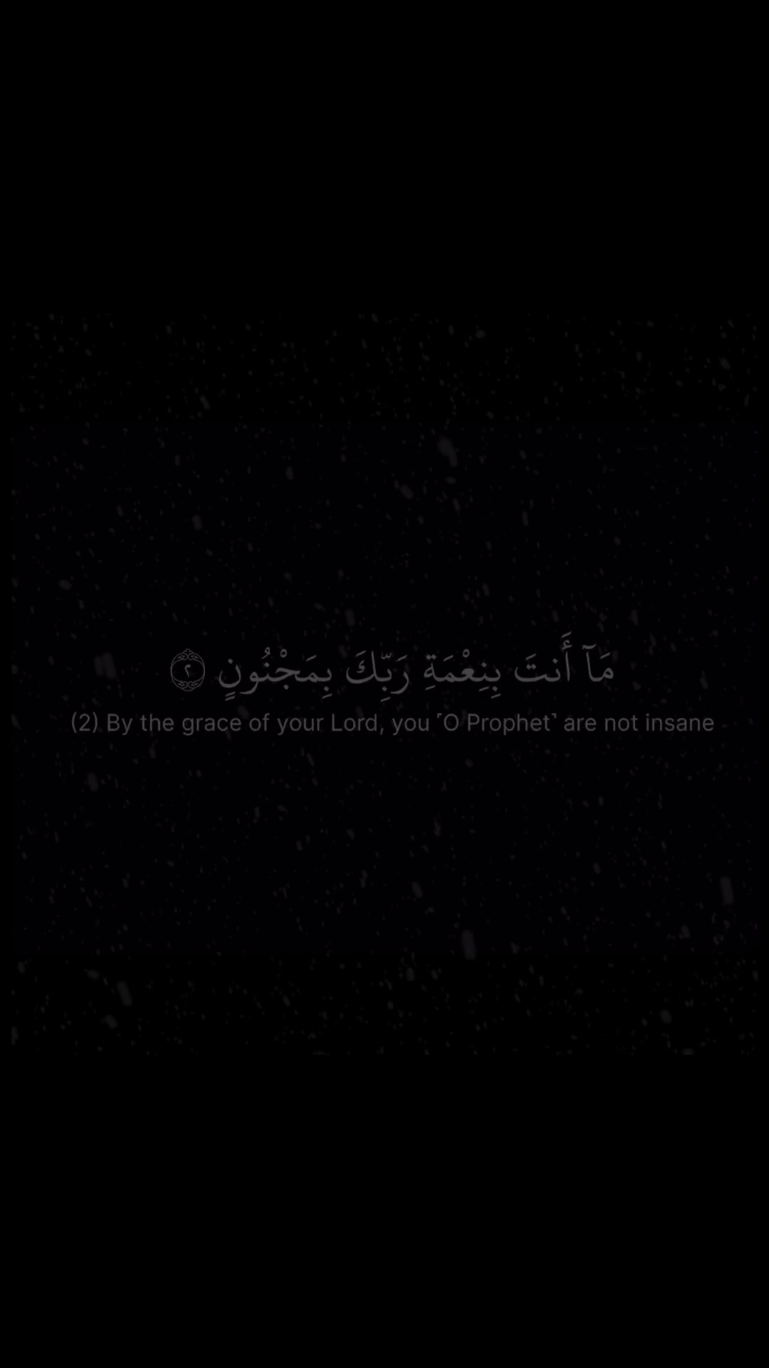 @Quran reciters